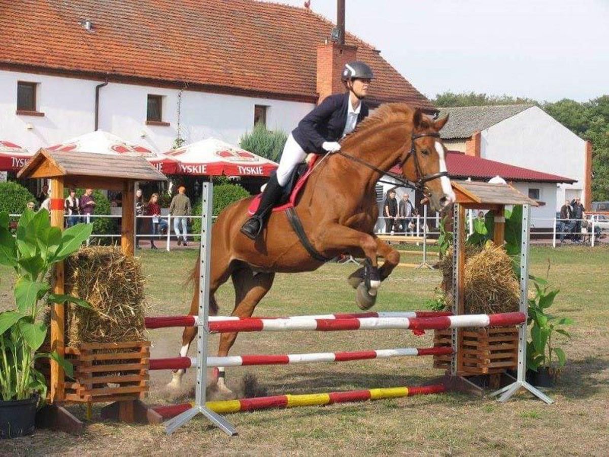 karczma, ogród/taras